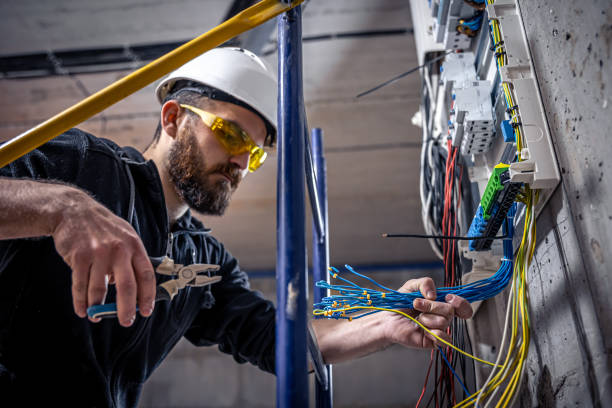 Best Electrical Rewiring Services  in Forreston, IL