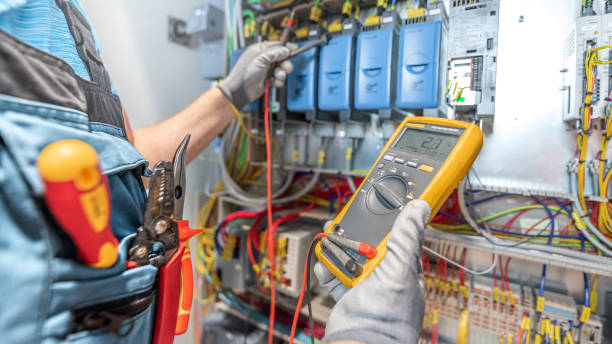 Best Generator Installation Services  in Forreston, IL