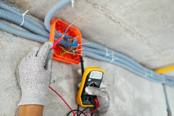 Best Home Electrical Repair  in Forreston, IL