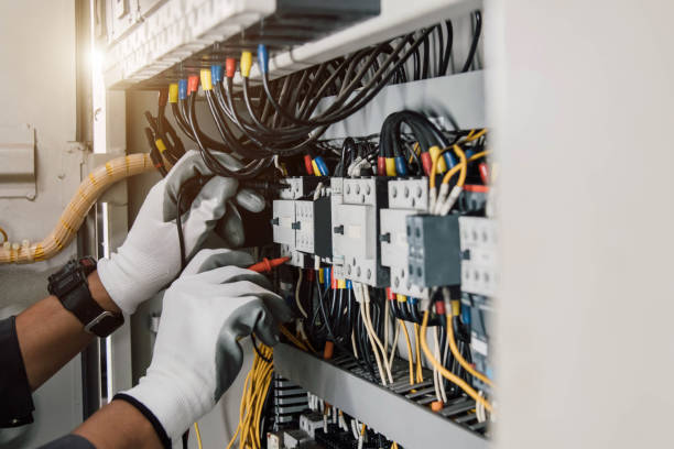 Best Local Electrician Companies  in Forreston, IL