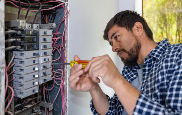 Best Electric Panel Repair  in Forreston, IL